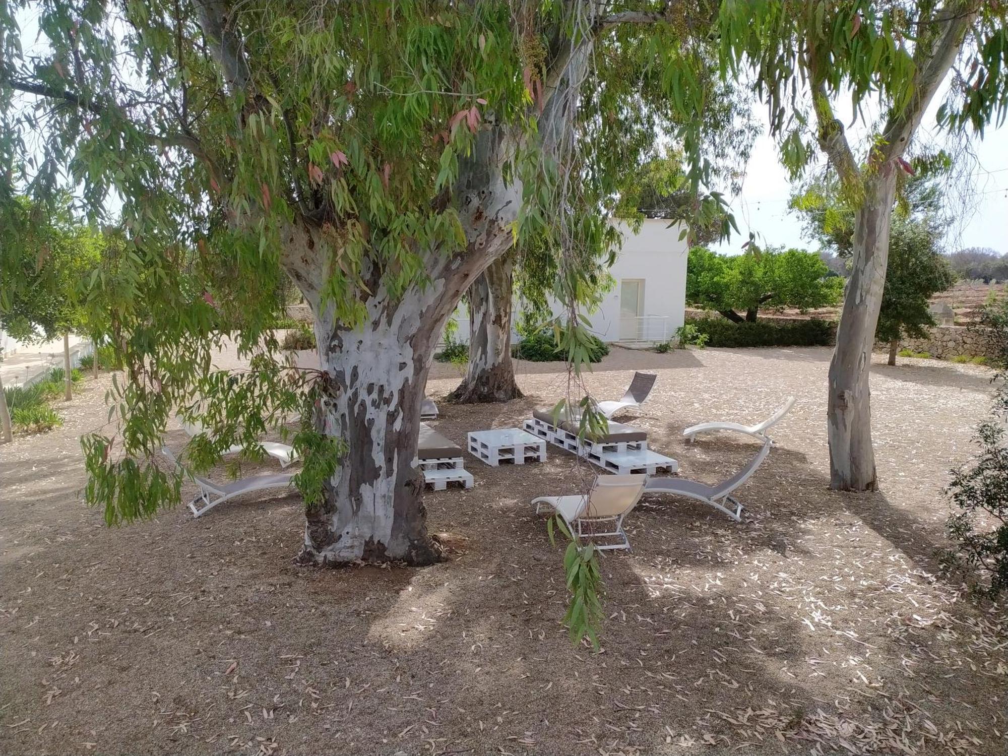 Terreamare Agriturismo Porto Cesareo Luaran gambar